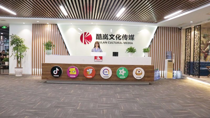 企业宣传片MG动画，报价模板揭秘**